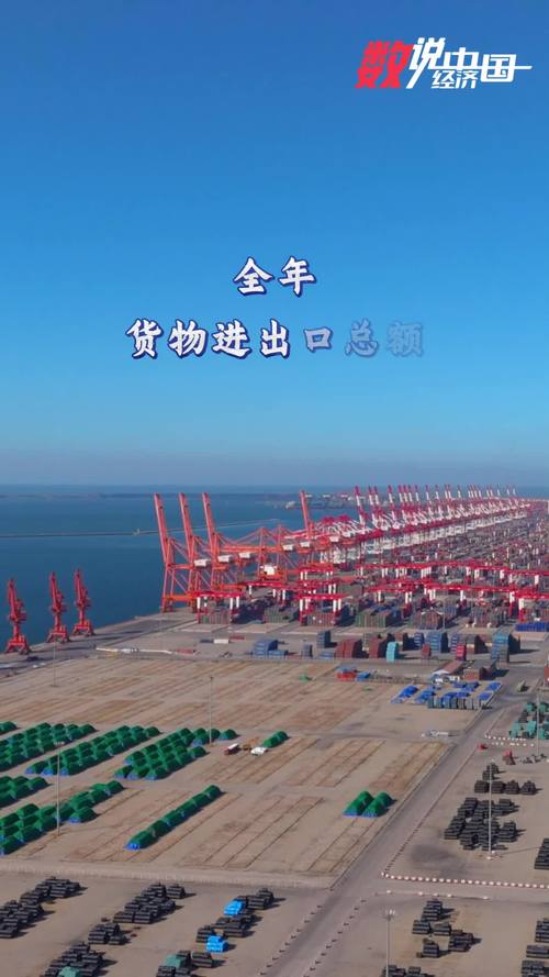 2024年貨物進(jìn)出口較快增長與貿(mào)易結(jié)構(gòu)持續(xù)優(yōu)化 技術(shù)進(jìn)出口的新征程